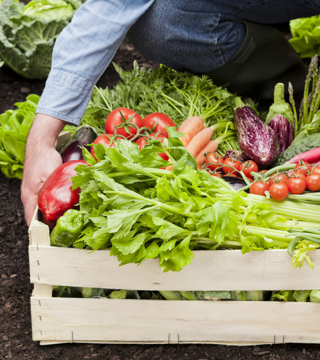 A wooden crate filled with fresh vegetables such as tomatoes, carrots, celery, and eggplant, with a person's arm reaching in